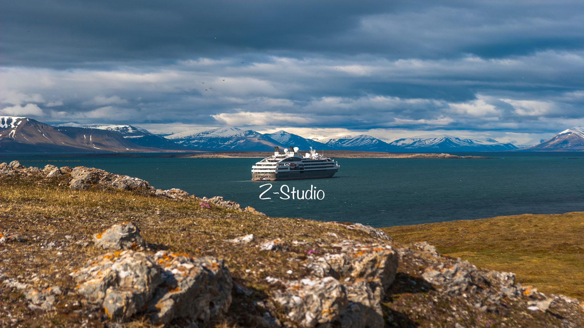 artist cover image