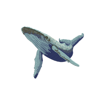 artist profile image