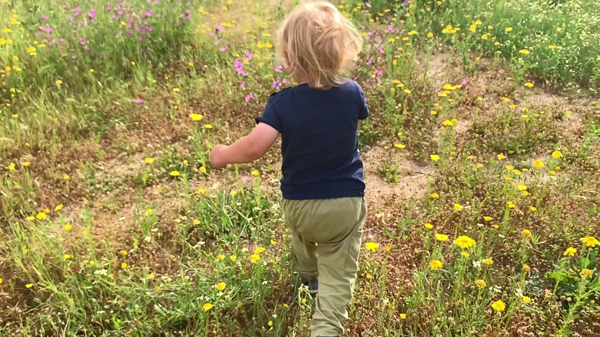 artist profile image