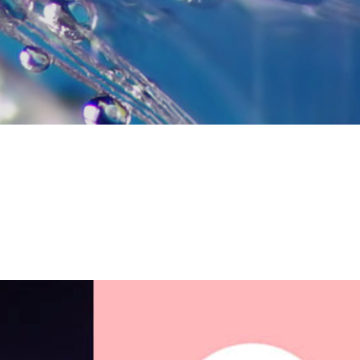 artist profile image