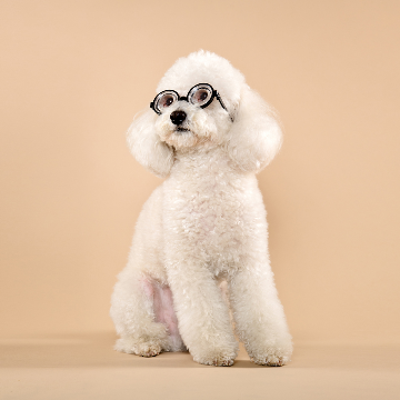 artist profile image