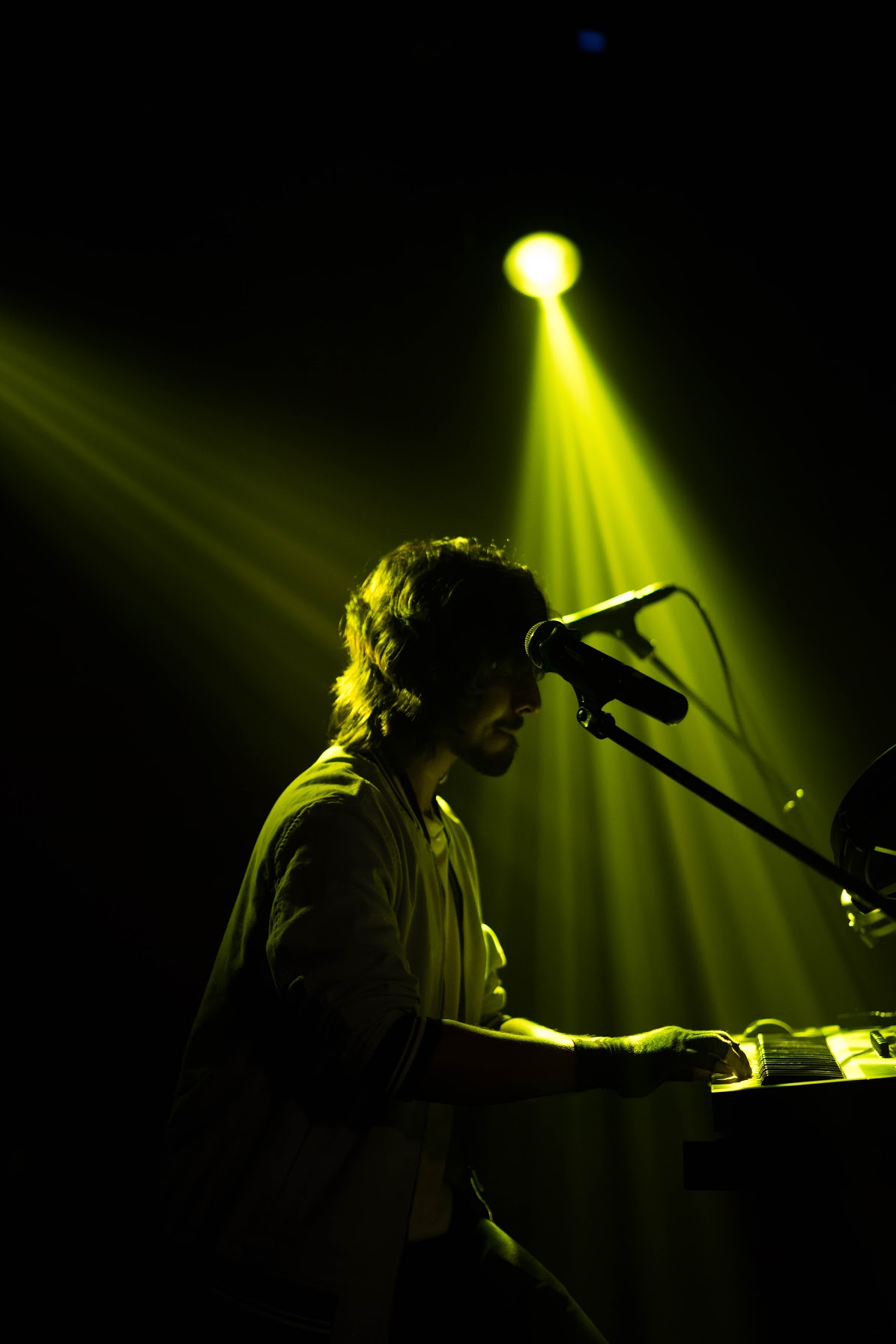 artist profile image