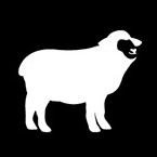 artist profile image