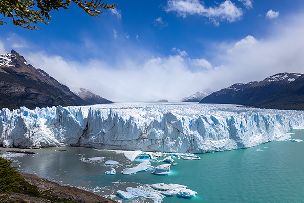 artist profile image