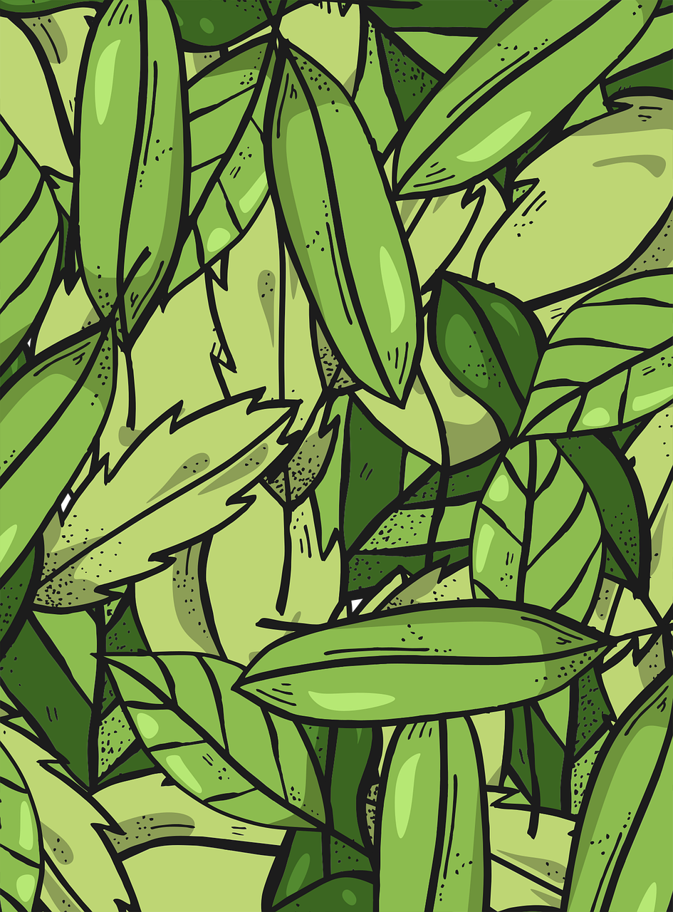 artist profile image