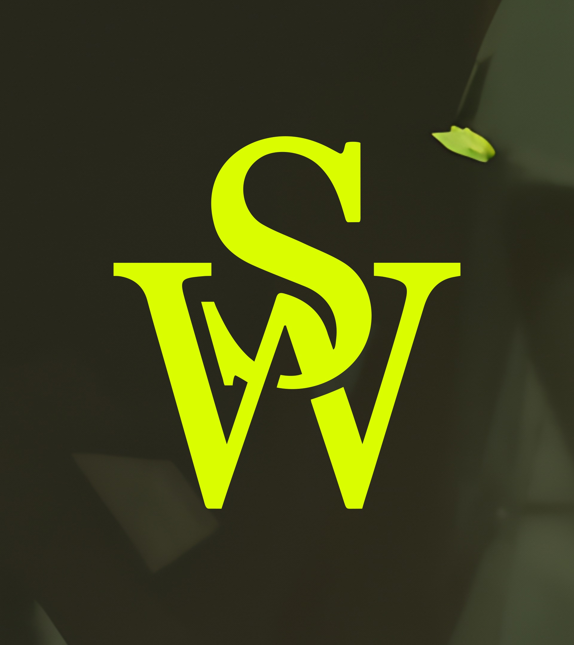 artist profile image